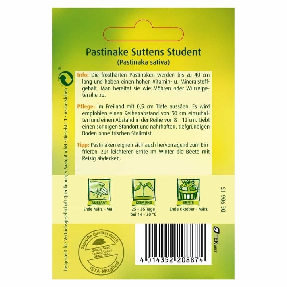 Pastinaga, Estudante de Suttens-0