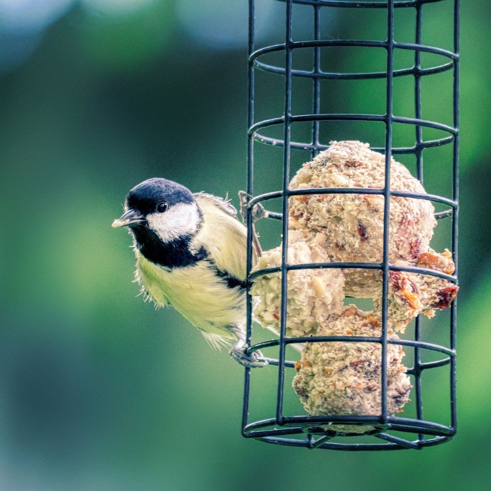 Bolinhos de Aves 200 x aprox. 90 Gramas sem Rede-0