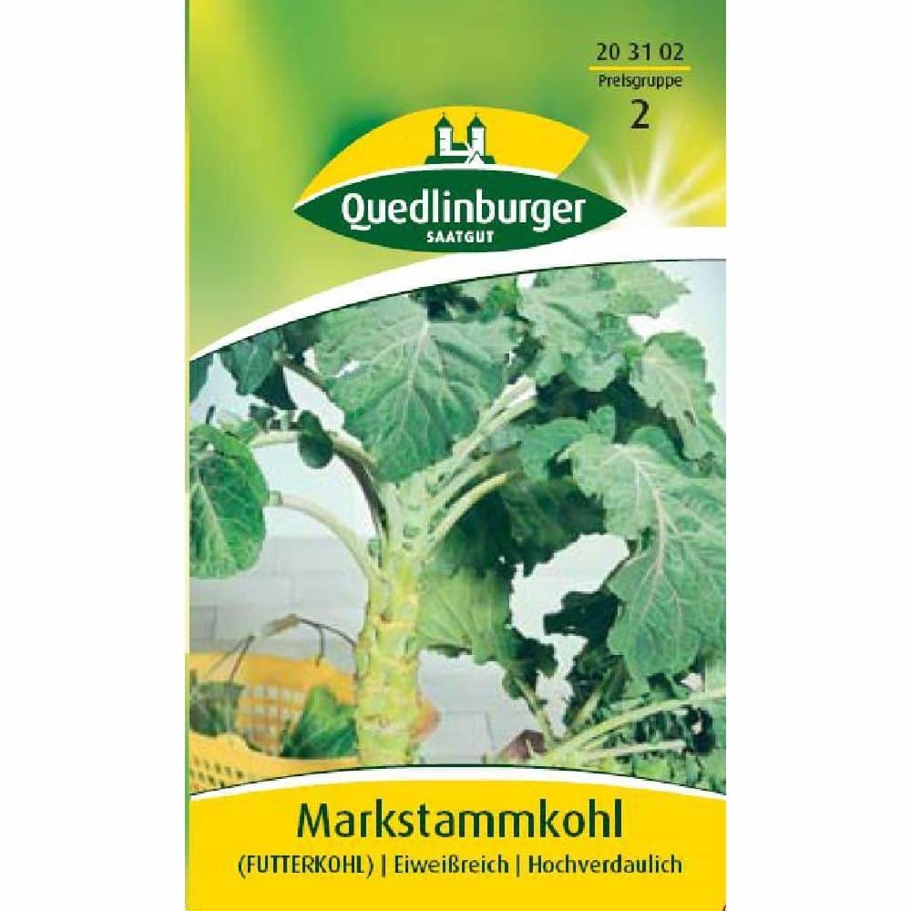 Markstammkohl (Couve para forragem)