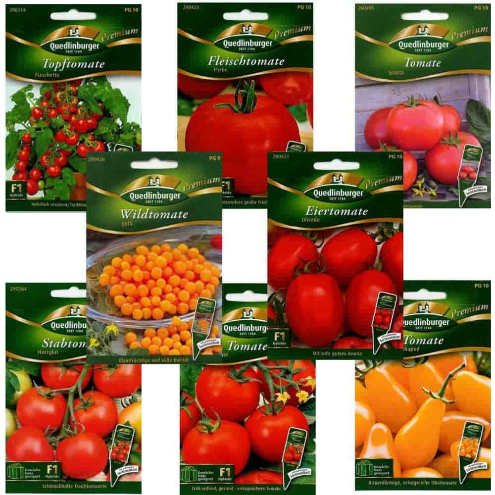 Sementes de Tomate Premium, várias variedades disponíveis