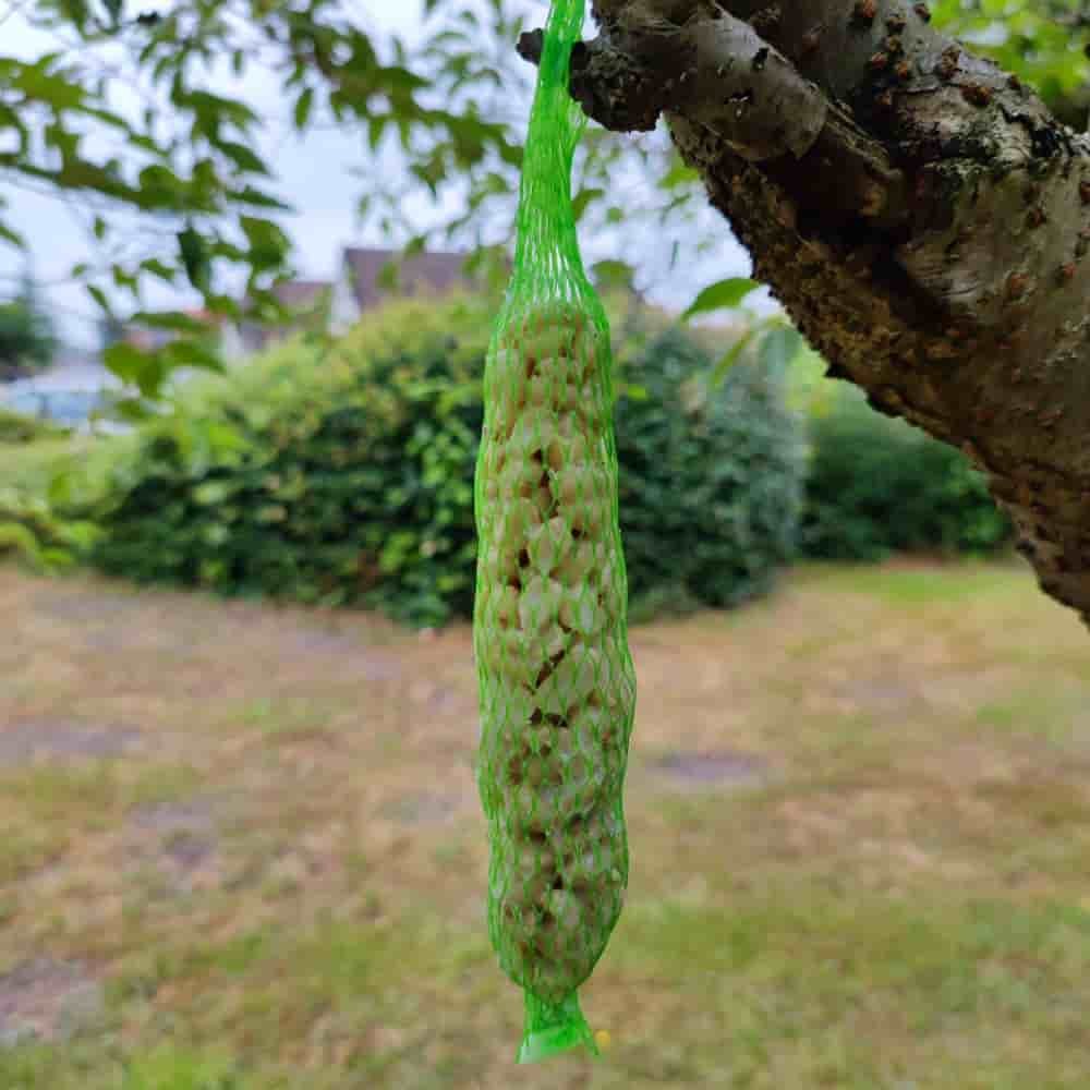 Comida para Aves Silvestres Barras de Amendoim, 2 Peças