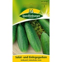 Pepino para Salada e Conserva, Delikatess