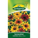 Coneflower, Floresta de Outono