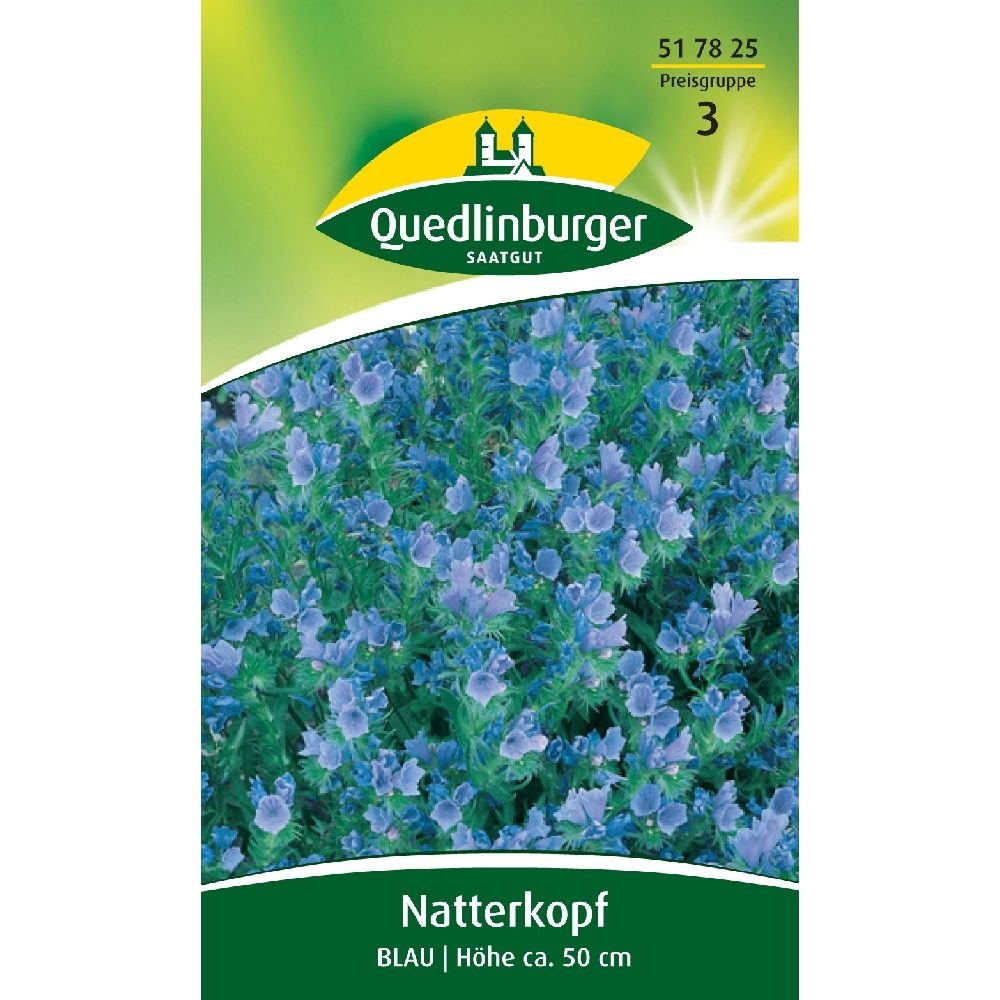 Natternkopf, azul